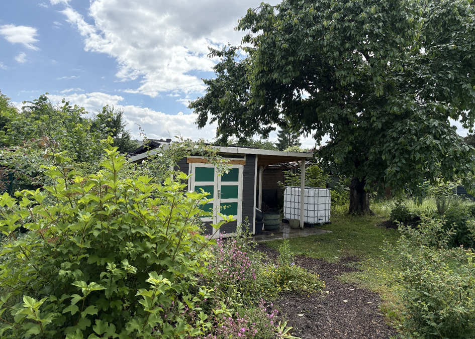 Gärtnern am Thomaeum