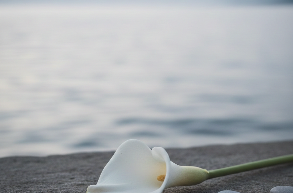 Trauer um José Félix Lara Fernández